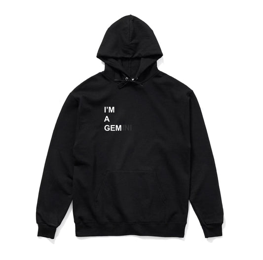 I'M A GEMINI T-SHIRT