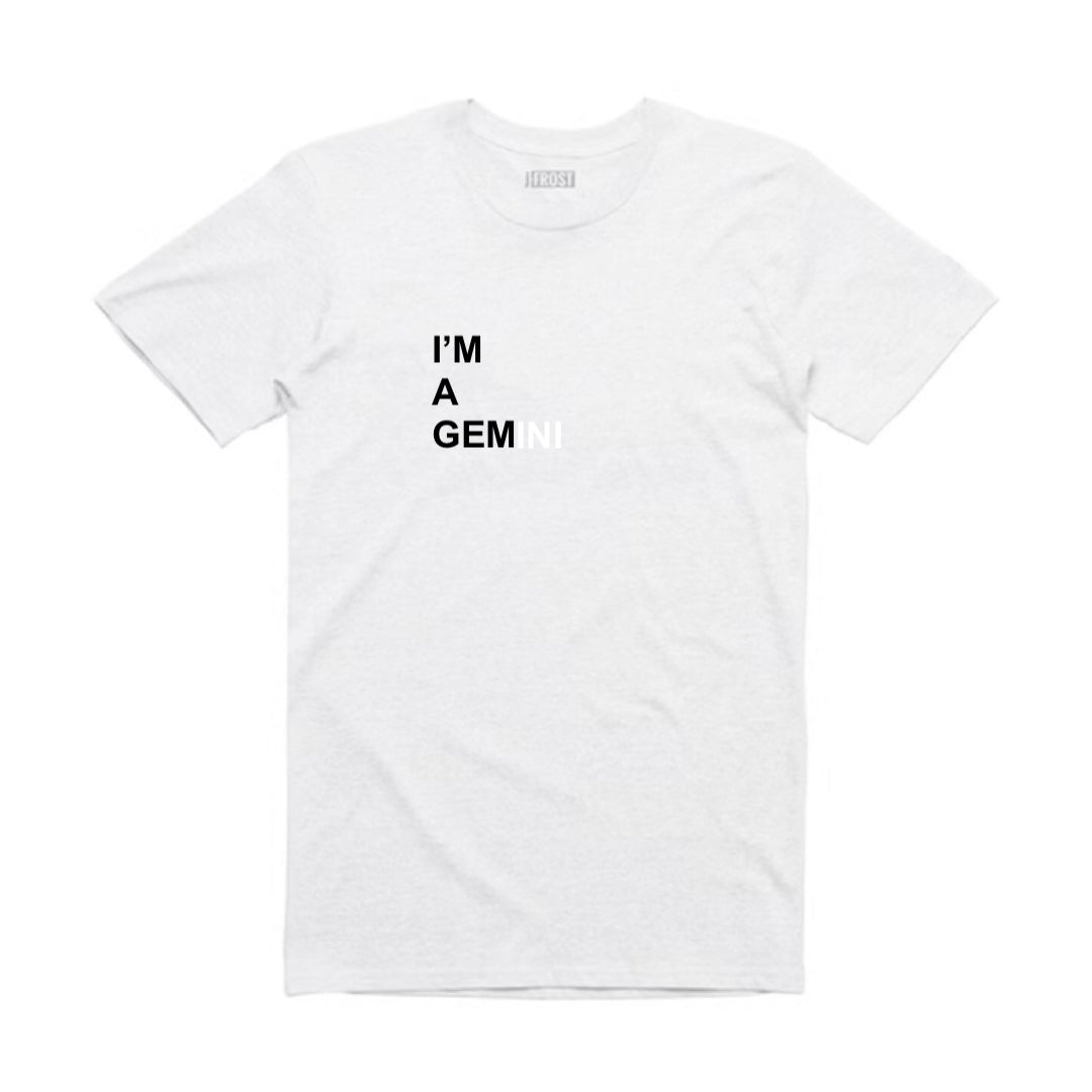 I'M A GEMINI T-SHIRT